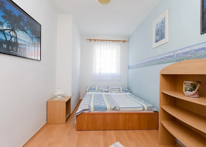 Apartment Damir